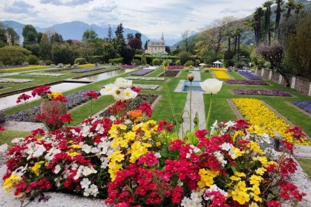 Nejkrásnější zahrady a jezera kraje Piemont a švýcarského Ticina - 31