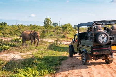 2 Dny Na Safari Saadani S Relaxem Na Zanzibaru