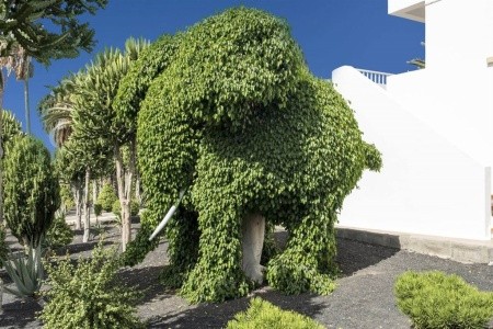 Floresta - 13