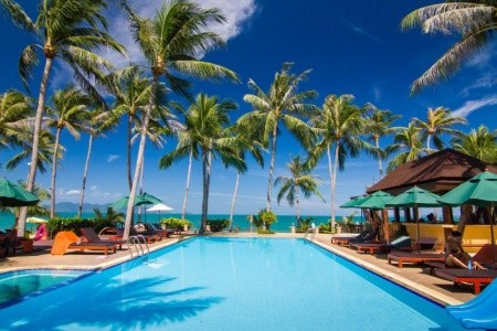Coco Palm Beach