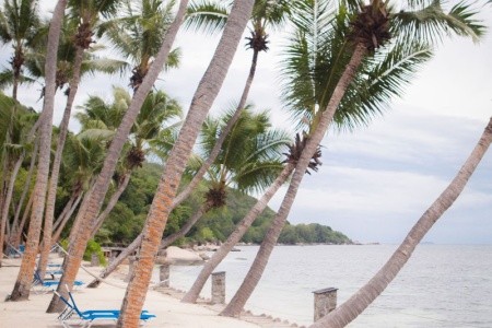 Coco De Mer & The Black Parrot Suites - 3
