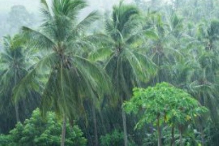 Nyaralás monszun idején - Esős évszak Ázsiában és Afrikában