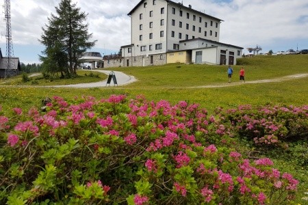 Berghof Tauplitzalm - 14