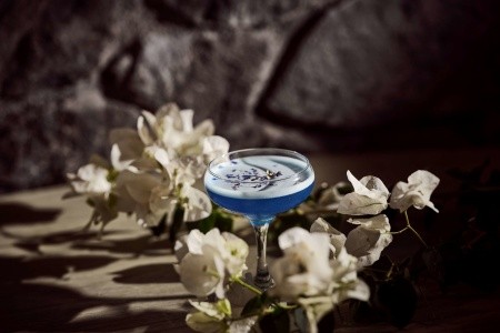 Sea Breeze Beach Resort (Exomitis) - 117