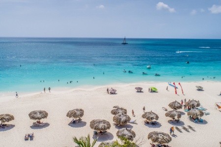 Aruba  Mvc Eagle Beach 14 dňový pobyt Raňajky Letecky Letisko: Praha June 2025 (15/06/25-28/06/25)