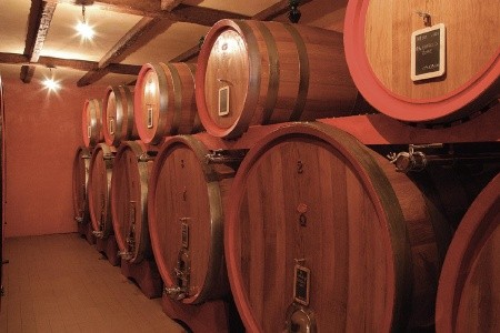 Ľadové kráľovstvo Patagónie a Ohňová zem - 11