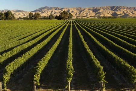 Nový Zéland od severu k juhu - 24