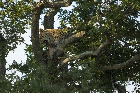 JAR: Svet v jednej krajine - 8