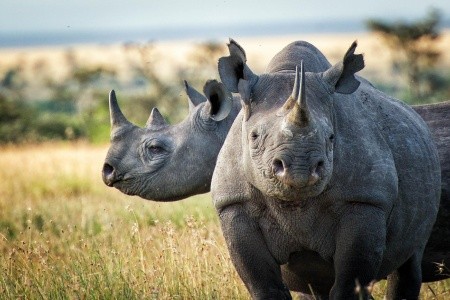 JAR: Svet v jednej krajine - 11