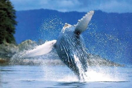 Dobrodružná cesta karibským rajom - 2