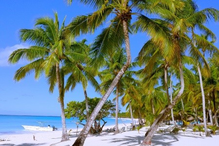 Dobrodružná cesta karibským rajom - 5