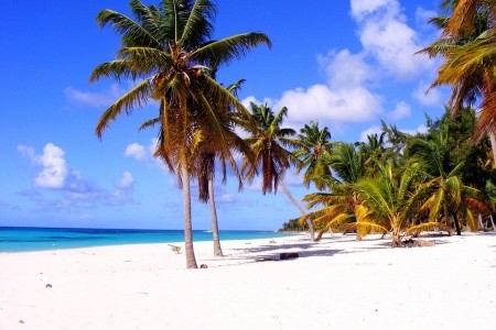 Dobrodružná cesta karibským rajom - 10