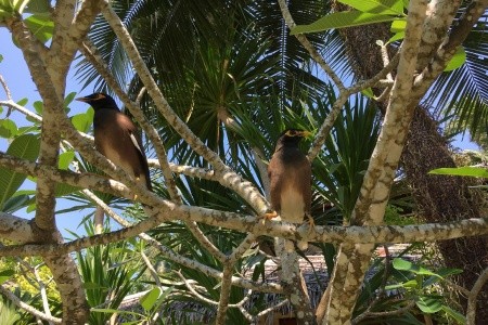 Tajuplný Angkor Wat s odpočinkom na plážach v Thajsku - 10