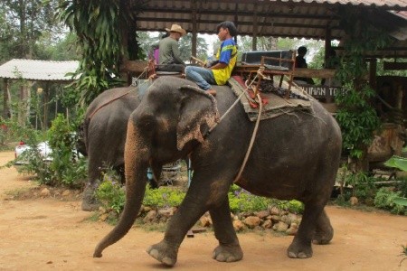 Tajuplný Angkor Wat s odpočinkom na plážach v Thajsku - 29