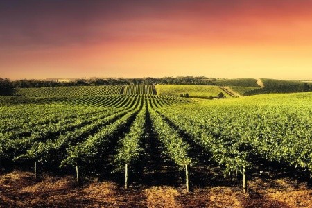 Krásy Južnej Austrálie - 16