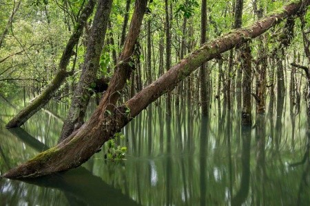 Austrália - Nový Zéland - 11