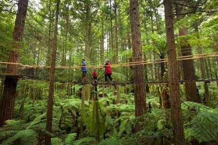 Austrália - Nový Zéland - 32