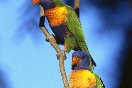 Najkrajšie miesta východnej Austrálie - 19