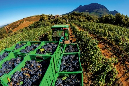 Z Victoria Falls do Kapského Mesta - 6