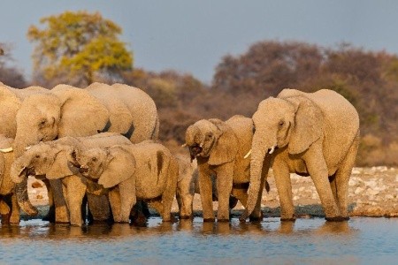 Namíbia - zvodná a nepoznaná - 23