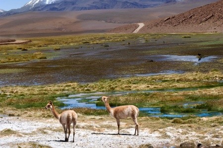 Naprieč Južnou Amerikou (Ekvádor, Peru, Bolívia, Argentína, Uruguaj) - 9