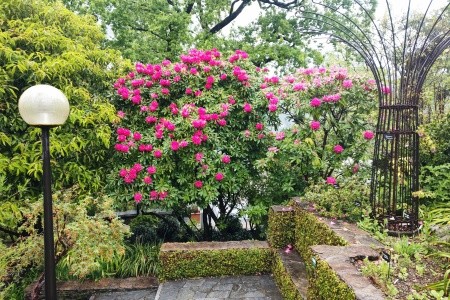 Nejkrásnější zahrady Itálie s návštěvou Locarna - 8