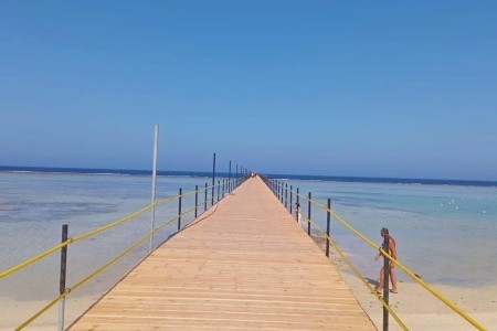 Mg Alexander The Great - 10