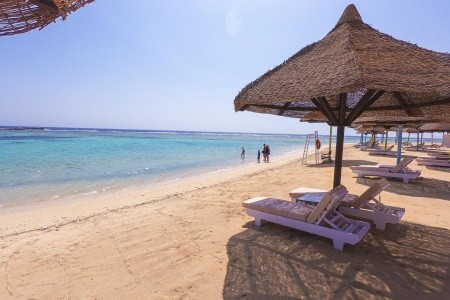 Mg Alexander The Great - 12