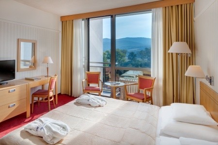 Ensana Esplanade Health Spa (Ex Danubius Health Spa Resort) - 4