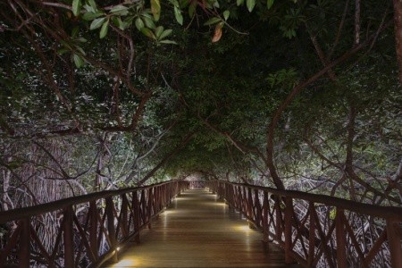 Catalonia Royal Tulum - 22