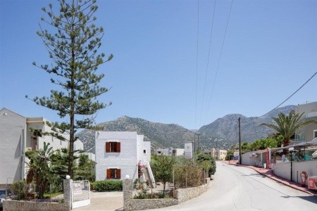 Studia Eleftheria - 11