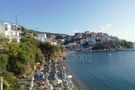 Studia Eleftheria - 24