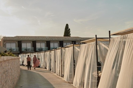 King Jason Zante - 173