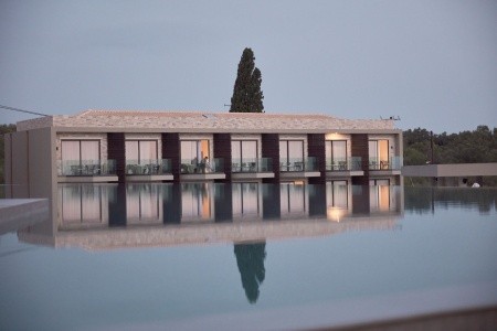 King Jason Zante - 176