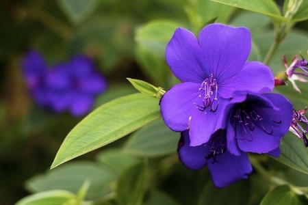 Estalagem Do Vale - 33