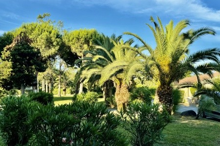 Korsika - koupání a poznání - 49