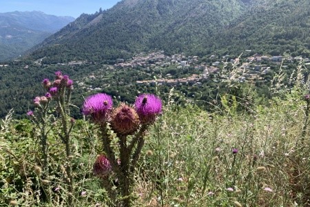 Korsika - výlety a relax u moře - 18