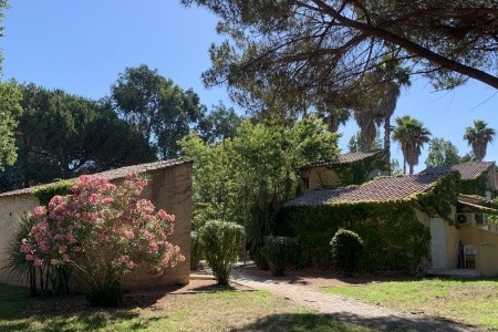 Korsika - výlety a relax u moře - 40