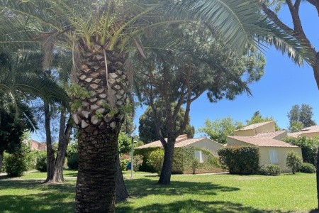 Korsika - výlety a relax u moře - 66