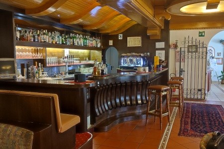 Regina Delle Dolomiti (Panchia) - 21