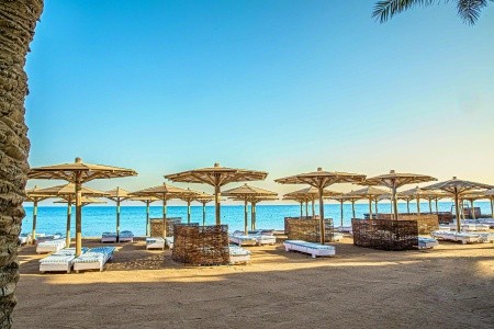 Palm Beach Resort - 5