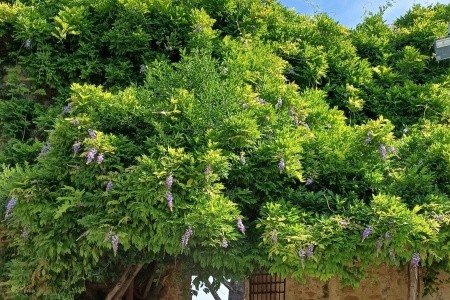 Florencie a kouzelné Toskánsko - 94