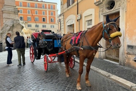 Řím od A do Z - letecky - 31