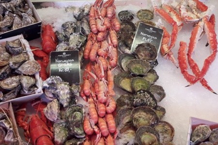 Norsko - velký okruh - 66