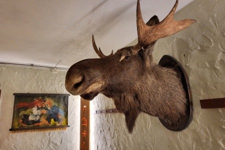 Norsko - velký okruh - 82