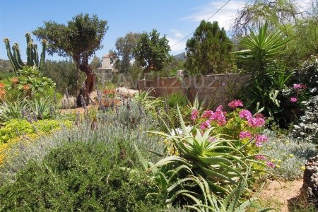 Naiades Almiros - 10