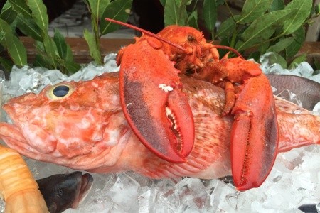 Benátky a krásy severní Itálie - 84