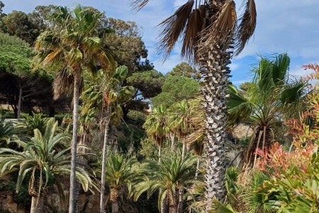 Barcelona od A do Z a Montserrat - 63