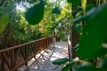 Grand Oasis Tulum - 59