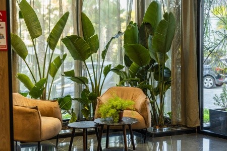 Albánsko Durrës Henry Resort 8 dňový pobyt All Inclusive Letecky Letisko: Brno July 2026 ( 7/07/26-14/07/26)